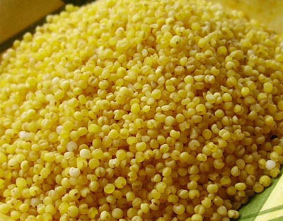 �������Y