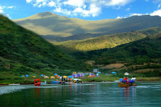 �������Y