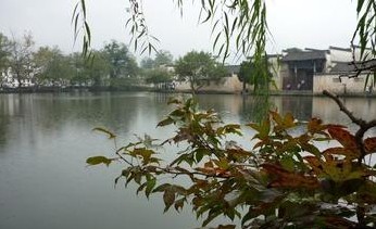 �������Y