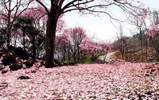 �������Y