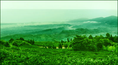 �������Y