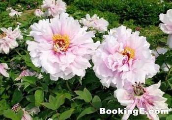 �������Y