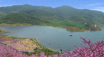 �������Y