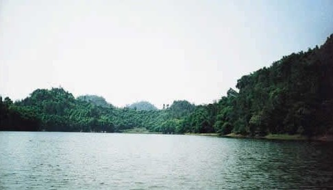 �������Y