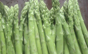 �������Y