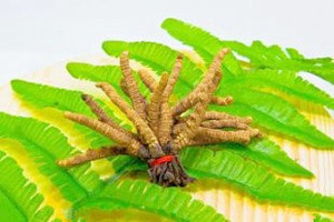 �������Y