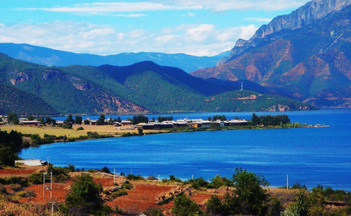 �������Y