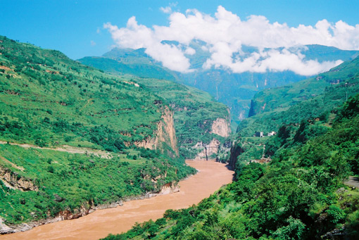 �������Y