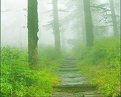 �������Y