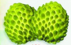 �������Y