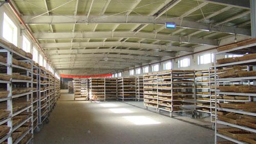 �������Y