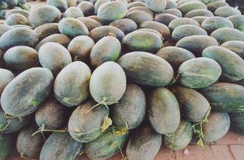 �������Y