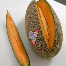 �������Y