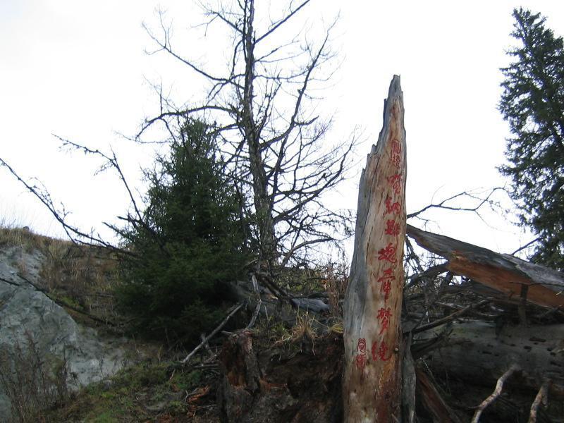 �������Y