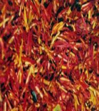 �������Y