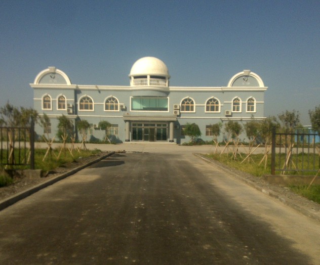 �������Y