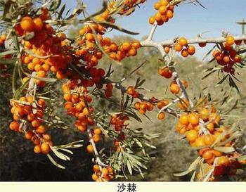 �������Y