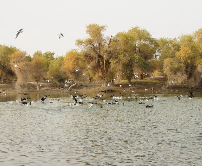 �������Y