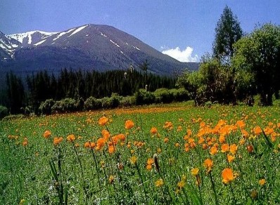 �������Y