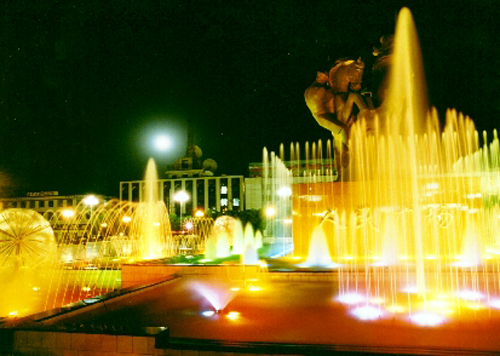 �������Y