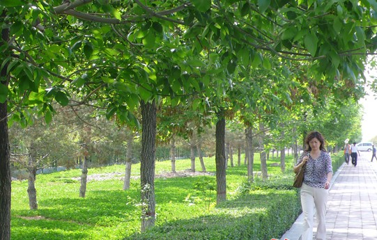 �������Y