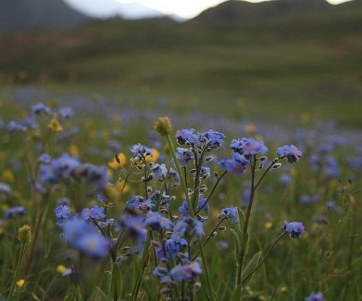 �������Y