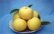 �������Y