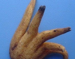 �������Y