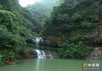 �������Y