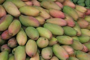 �������Y