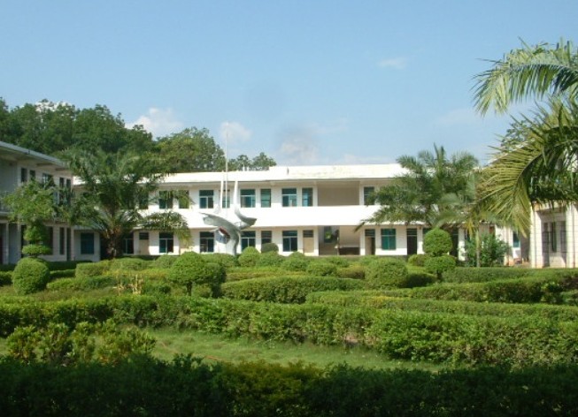 �������Y