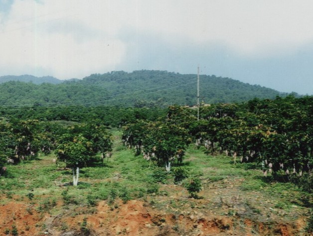 �������Y