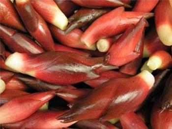 �������Y