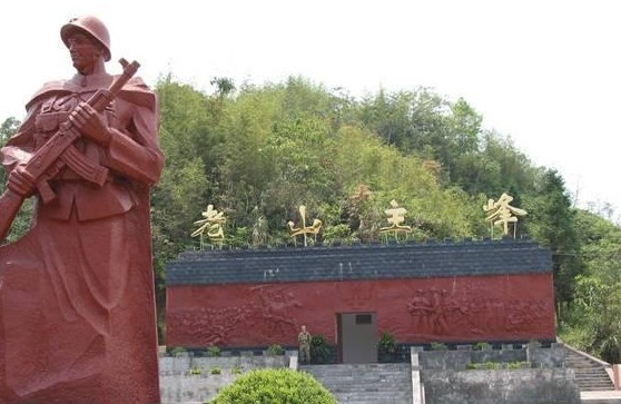 �������Y