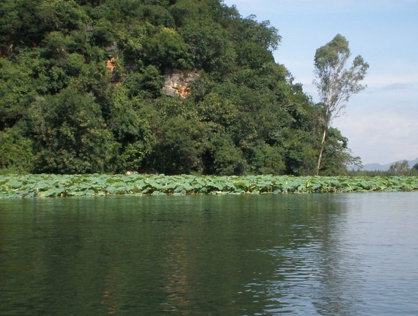 �������Y