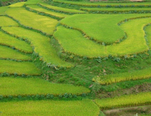 �������Y