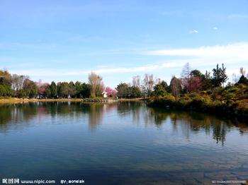 �������Y