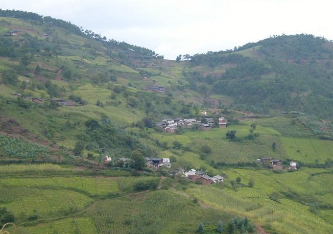 �������Y