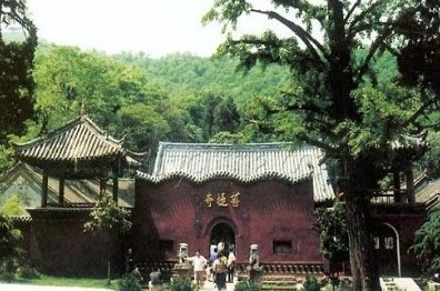 �������Y