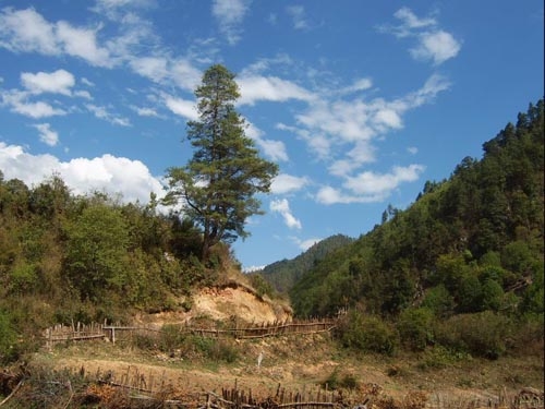 �������Y