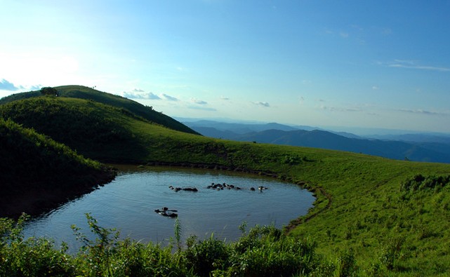 �������Y