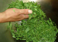 �������Y