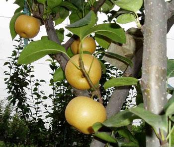 �������Y