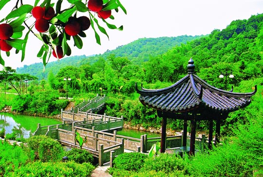 �������Y