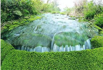 �������Y