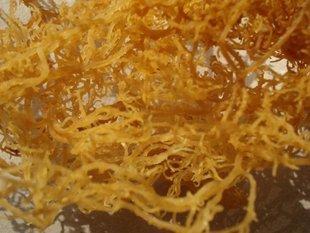 �������Y